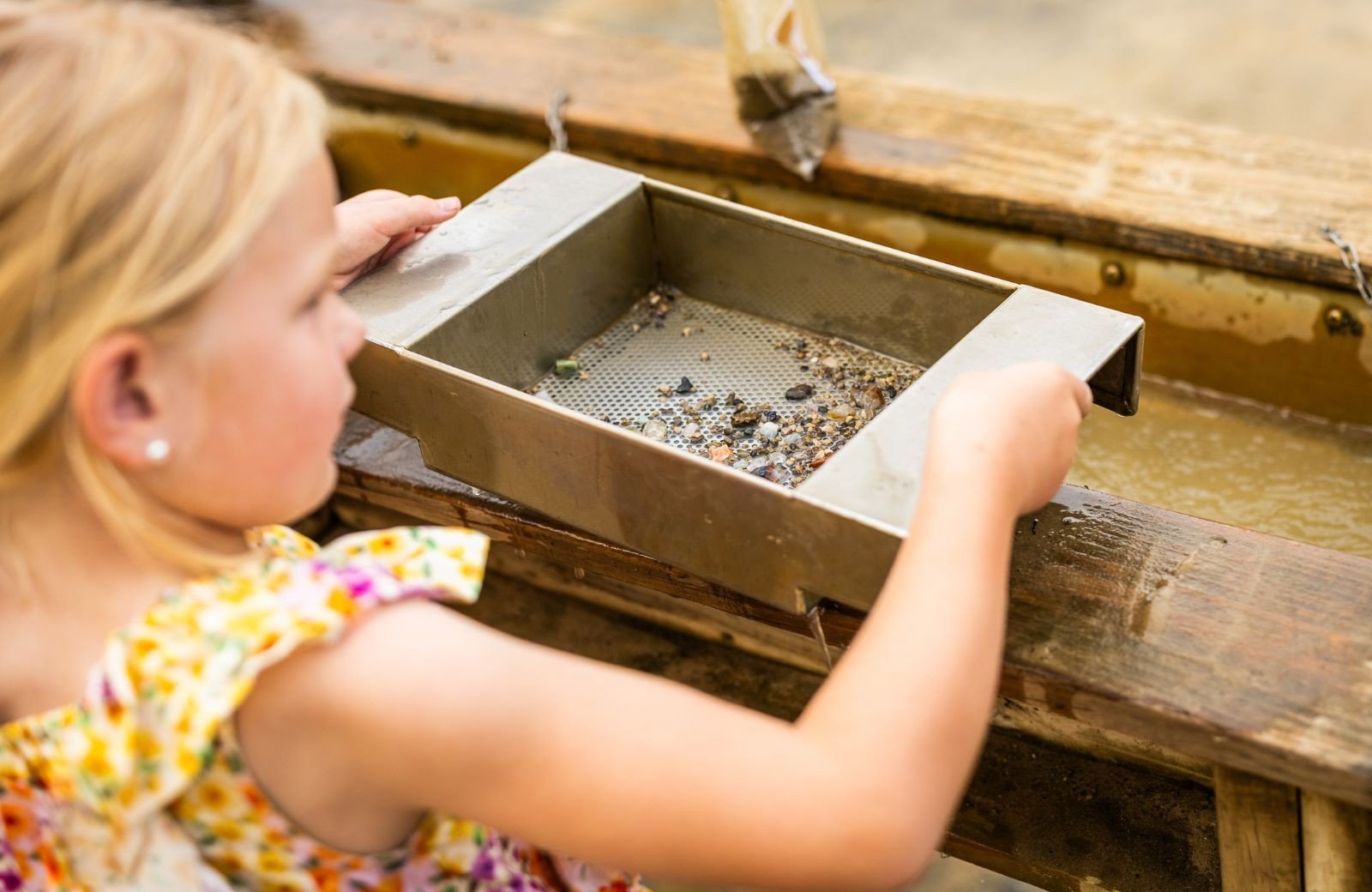 Mudmy windmill yard 3