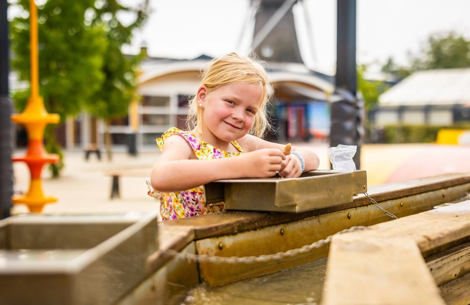 Mudmy windmill yard 5